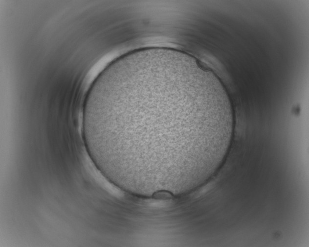 X0000110711188200907022015