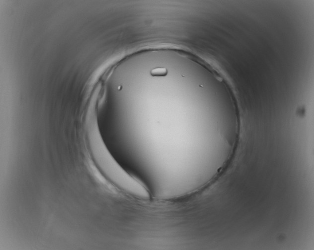 X0000110711189200907022015