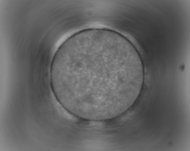 X0000110711191200907022015