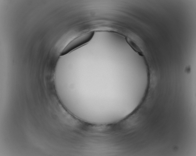 X0000110711193200907022015