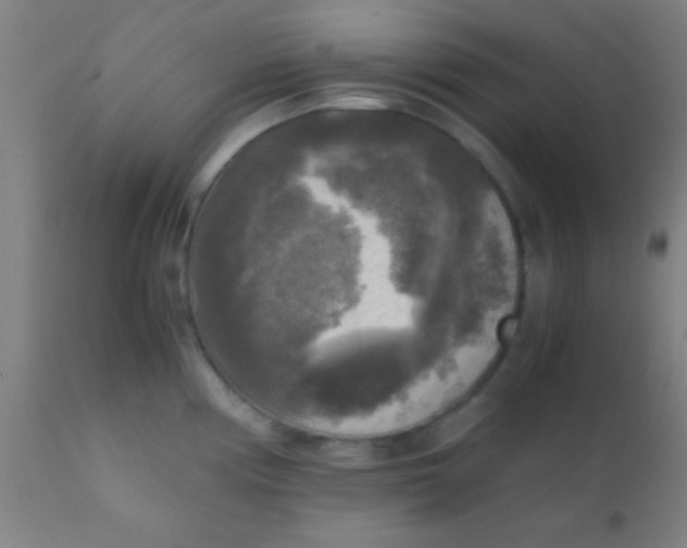 X0000110711194200907022015