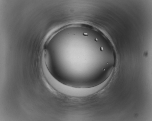 X0000110711197200907022015