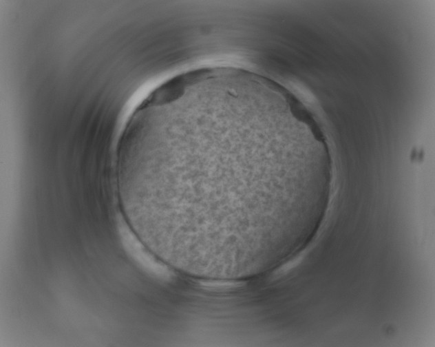 X0000110711200200907022015