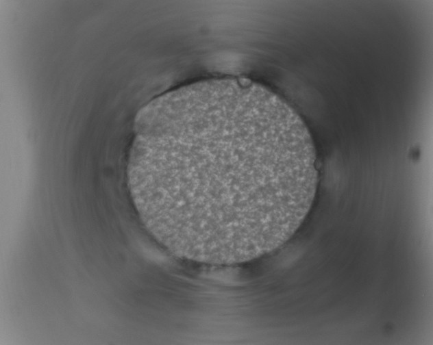 X0000110711201200907022014