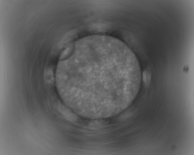 X0000110711203200907022014