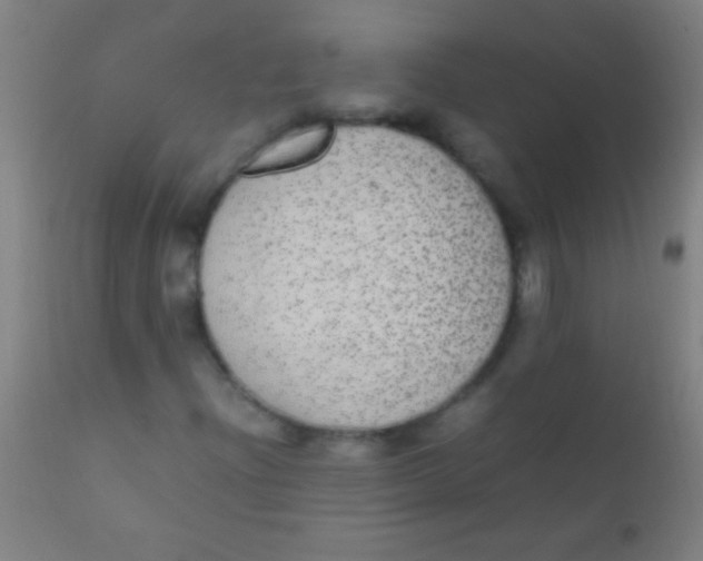 X0000110711204200907022014