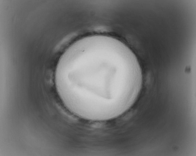X0000110711205200907022014