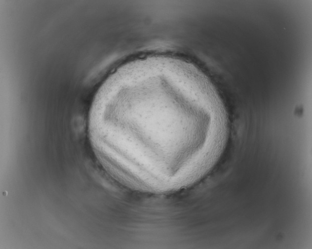 X0000110711206200907022014