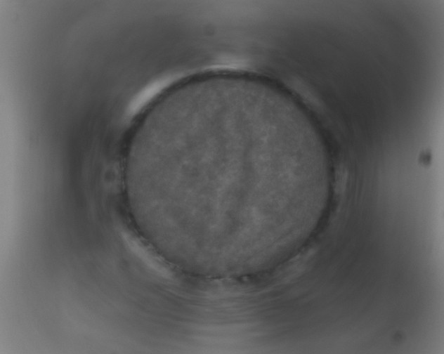 X0000110711208200907022014