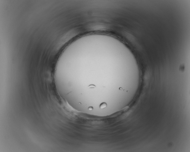 X0000110711209200907022014