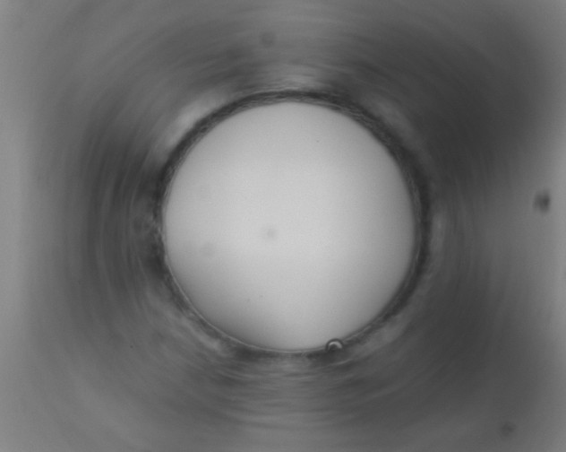 X0000110711210200907022014