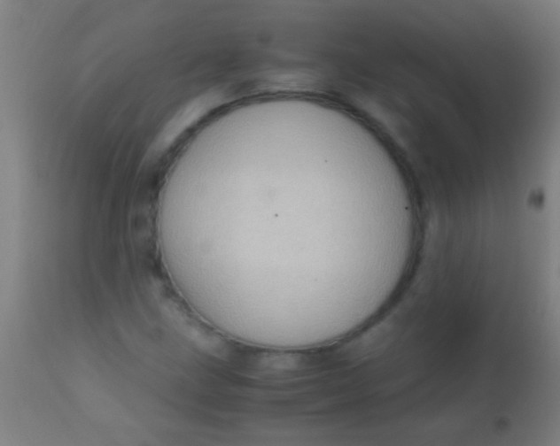 X0000110711211200907022014