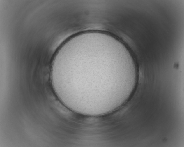X0000110711212200907022014