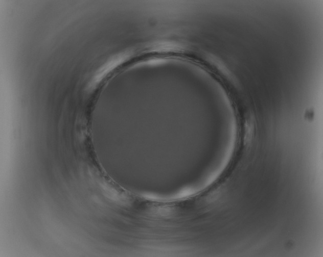 X0000110711213200907022014