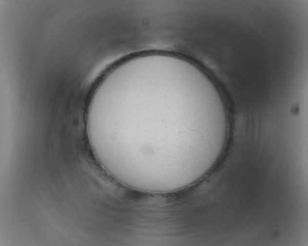 X0000110711214200907022014