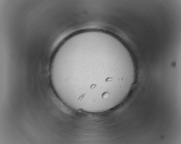 X0000110711216200907022014