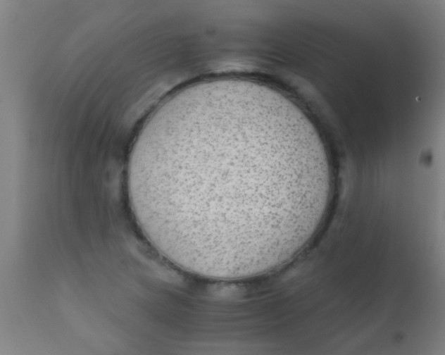 X0000110711217200907022014