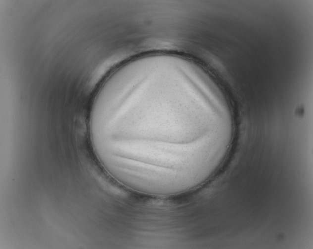 X0000110711218200907022014