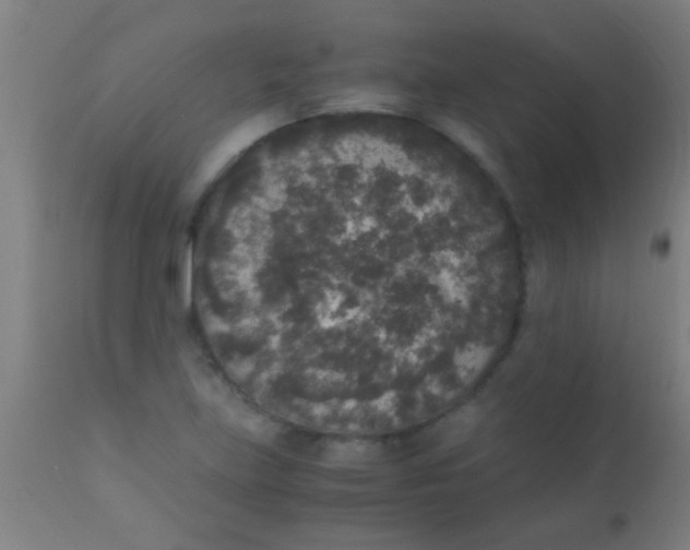 X0000110711219200907022014