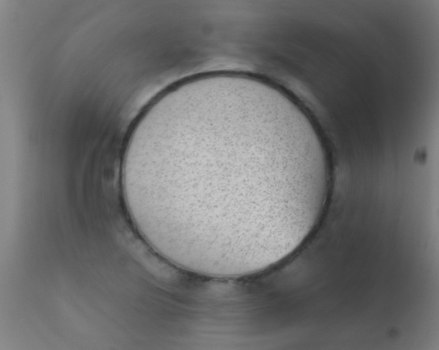X0000110711220200907022014