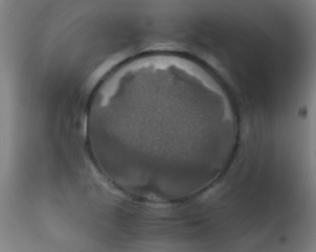 X0000110711221200907022014