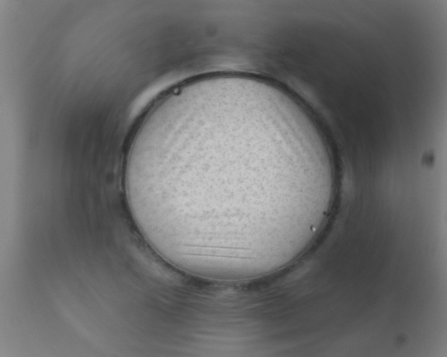 X0000110711222200907022014