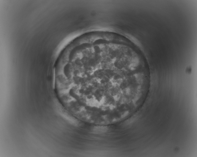 X0000110711223200907022014