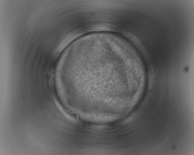 X0000110711225200907022014