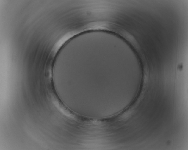 X0000110711226200907022014