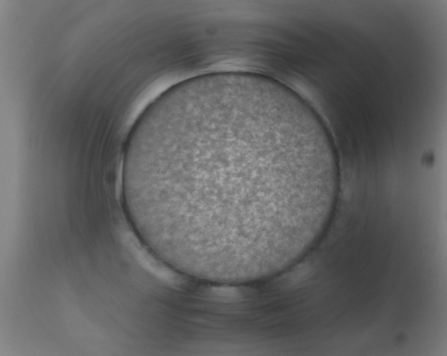 X0000110711227200907022014