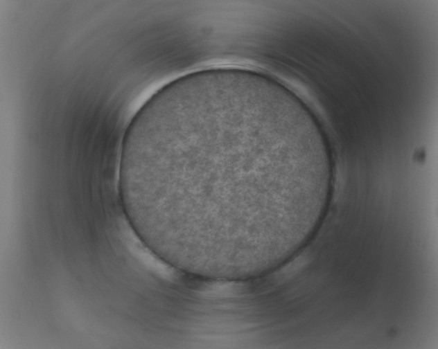 X0000110711228200907022014