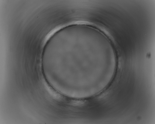 X0000110711229200907022014