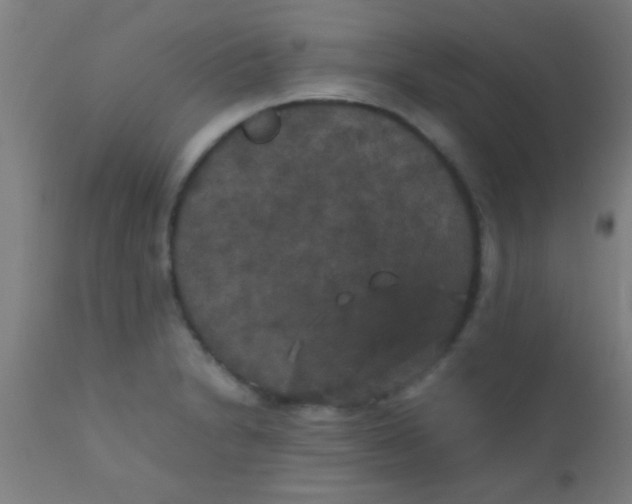 X0000110711230200907022014
