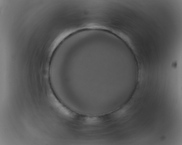 X0000110711231200907022014