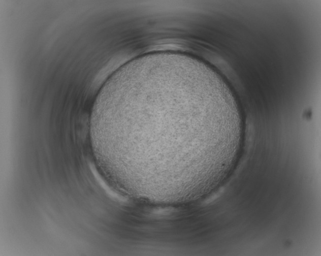 X0000110711233200907022014