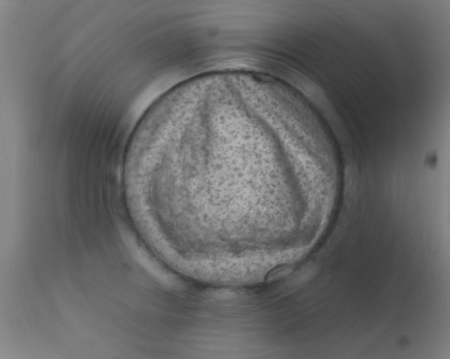 X0000110711234200907022014
