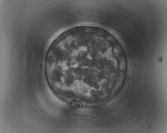 X0000110711237200907022014