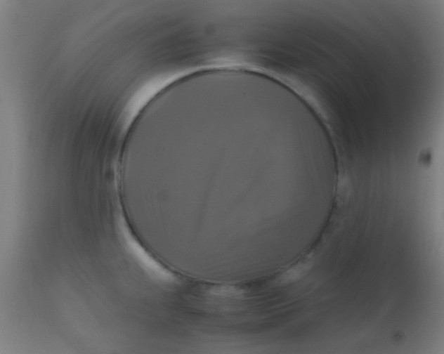 X0000110711239200907022015