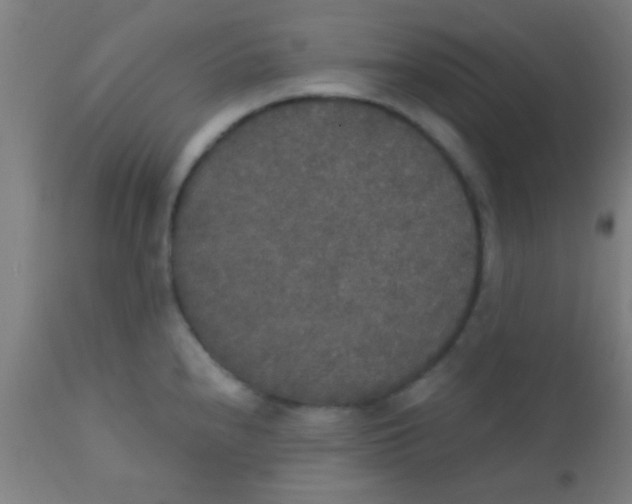 X0000110711240200907022015