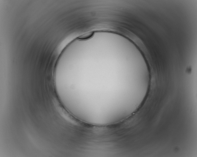 X0000110711242200907022015