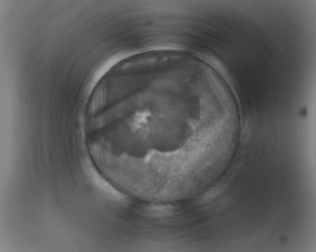 X0000110711243200907022015