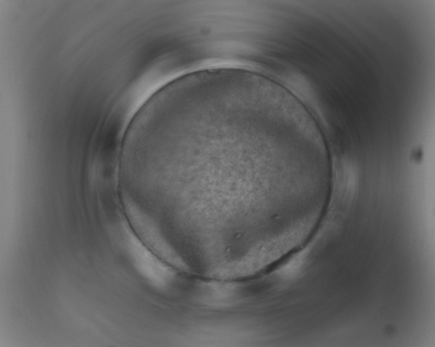 X0000110711244200907022015
