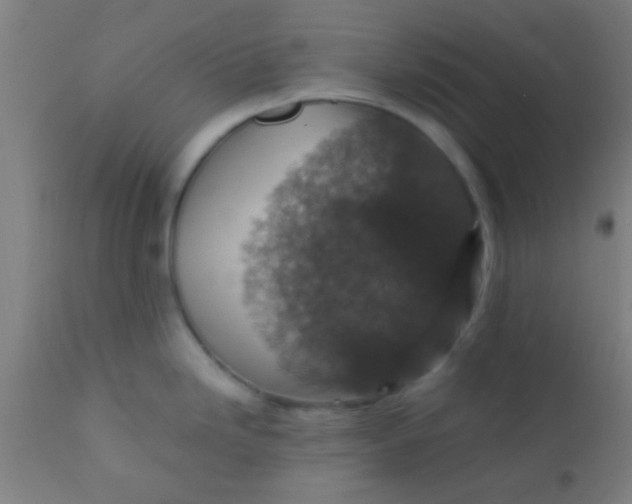 X0000110711246200907022015