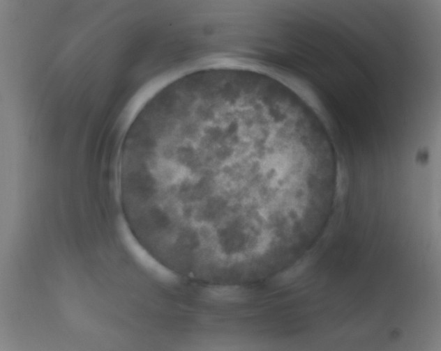 X0000110711247200907022015