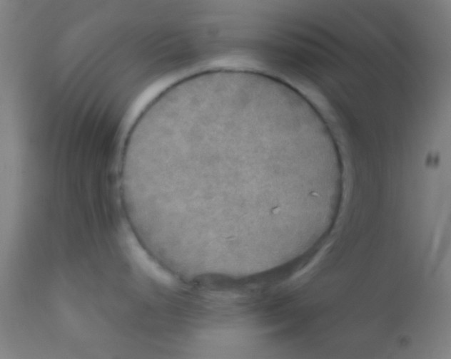 X0000110711248200907022015