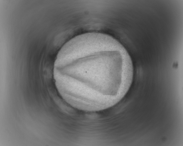 X0000110711250200907022014