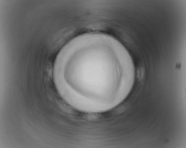 X0000110711251200907022014