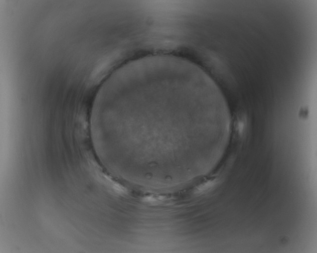 X0000110711252200907022014