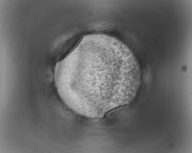 X0000110711253200907022014