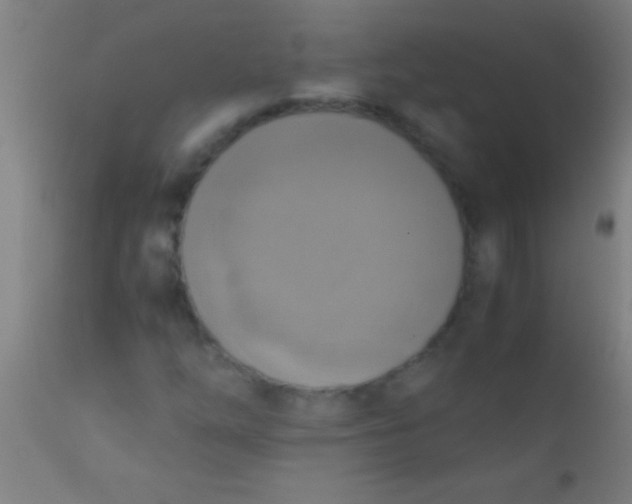 X0000110711254200907022014